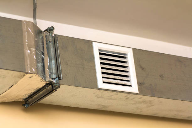 Air Duct Mold Removal in UT